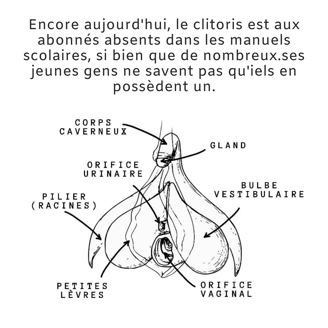 schema clitoris