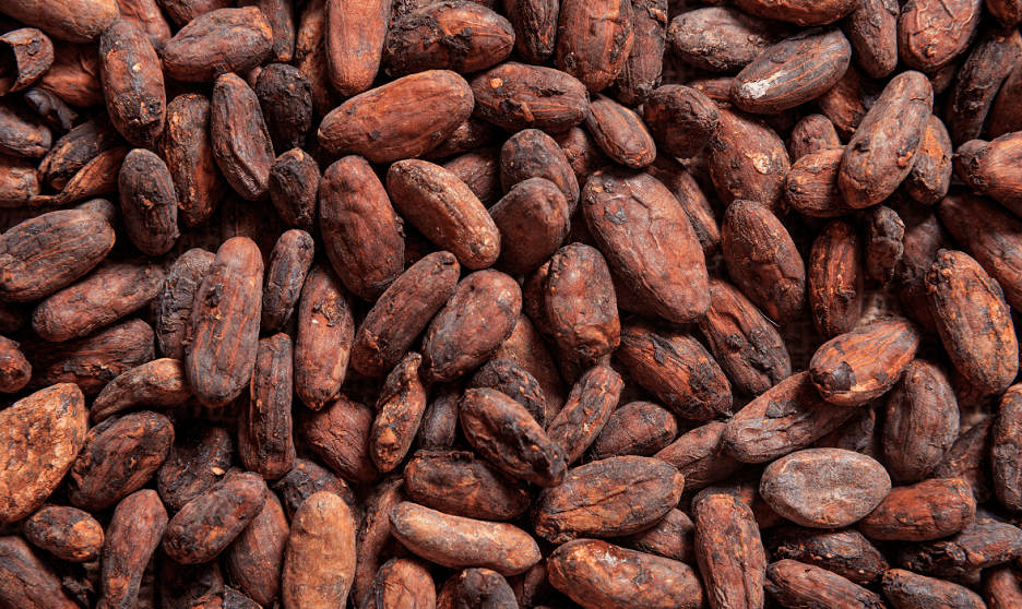 feves de cacao