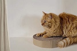 DIY griffoir chat en carton recyclé