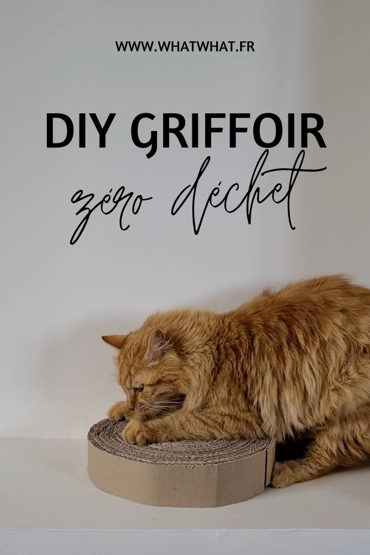 DIY griffoir chat zéro déchet - whatwhat