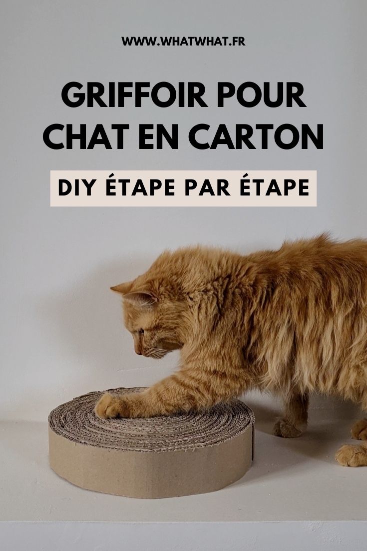 Griffoir pour chat en carton DIY - whatwhat