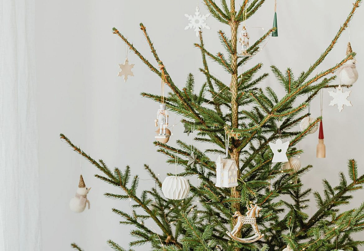 sapin de noel ecologique lequel choisir