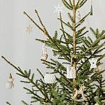 sapin de noel ecologique lequel choisir