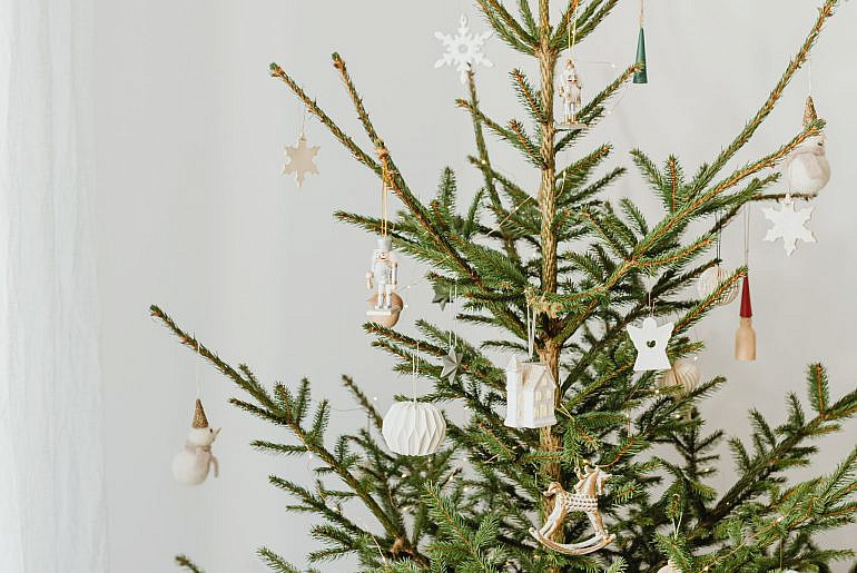 sapin de noel ecologique lequel choisir