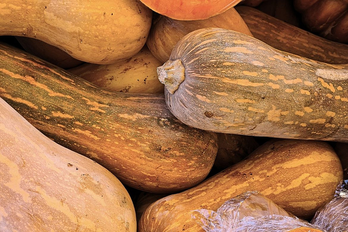 astuces manger bio pas cher - whatwhat