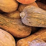 astuces manger bio pas cher - whatwhat